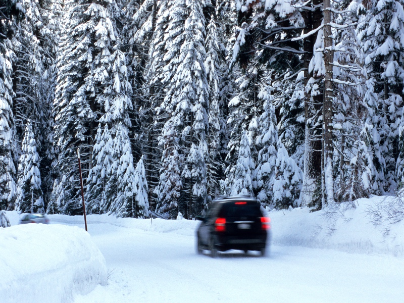 Alexandria roadside emergency